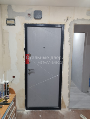 Фото двери №384