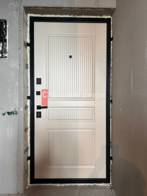 Фото двери №314