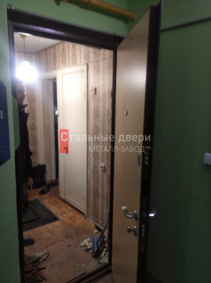 Фото двери №86