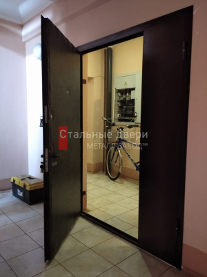 Фото двери №118