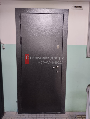 Фото двери №419