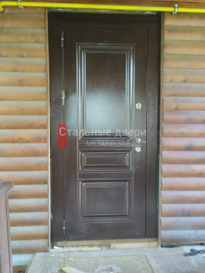 Фото двери №363