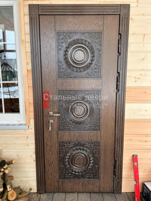 Фото двери №289
